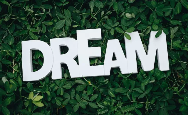 Rüyada savaş görmek ne anlama gelir? Rüyada savaşta olduğun görmek ne anlama geliyor? Rüyada savaşmak ne anlama gelir?