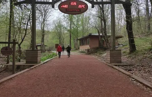 Belgrad Ormanı'na nasıl gidilir? Belgrad Ormanı'na arabasız nasıl gidilir? Belgrad Ormanı'na nerede, hangi semtte?