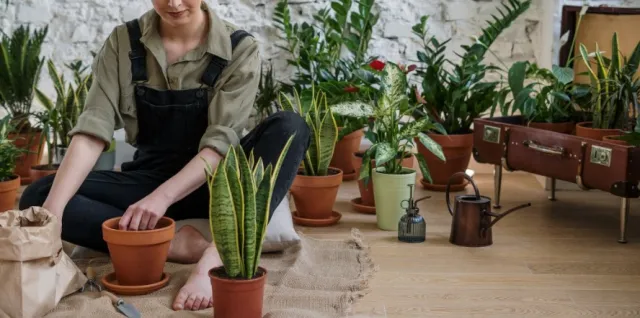 Evde yapılabilecek aktiviteler nelerdir? Evde yapılacak şeyler nelerdir?