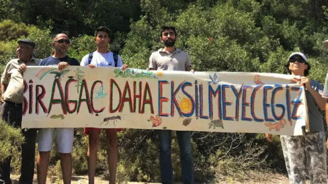 Akbelen olayı nedir? Akbelen Ormanı son durum nedir? Akbelen ağaçlar neden kesiliyor, kim kesiyor?