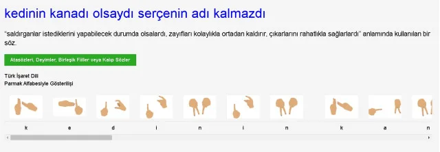 ('Kedinin kanadı olsaydı' şeklinde başlayan atasözünün...) Kim Milyoner Olmak İster 8 Ağustos Sorusu Cevabı Nedir? 100 Bin TL'lik soru ve cevabı ne?