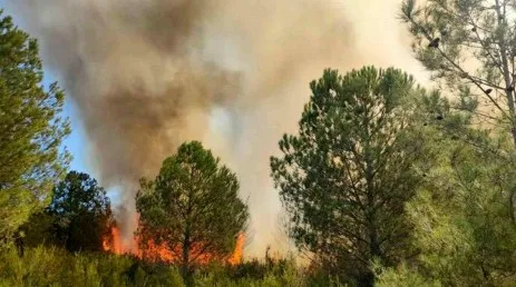 Antalya yangın söndürüldü mü? Son dakika! Antalya yangını neden, nerede çıktı? Son durum nedir?