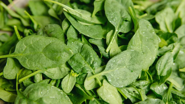 Diyetisyenlerin en çok sevdiği 8 yiyecek! Kilo verdiriyor, ödem ve kaloriyi azaltıyor