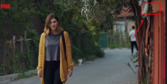 TV ekranlarında neden siyah kurdele var? Siyah kurdele