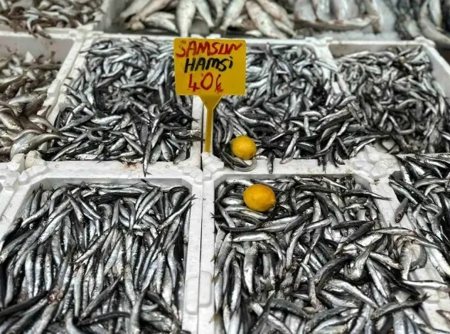 2023 Hamsi fiyatları ne kadar? Eylül ayında hamsinin kilosu ne kadar oldu?