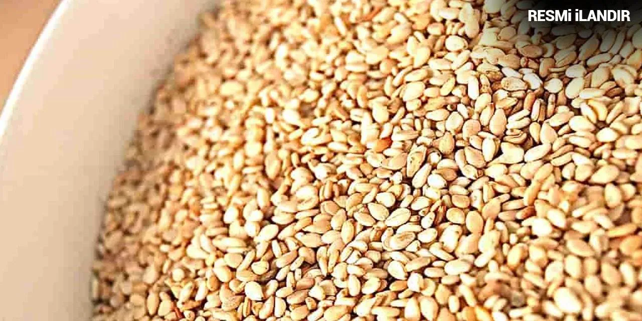 ANKARA HALK EKMEK VE UN FABRİKASI A. Ş. SUSAM SATIN ALINACAKTIR