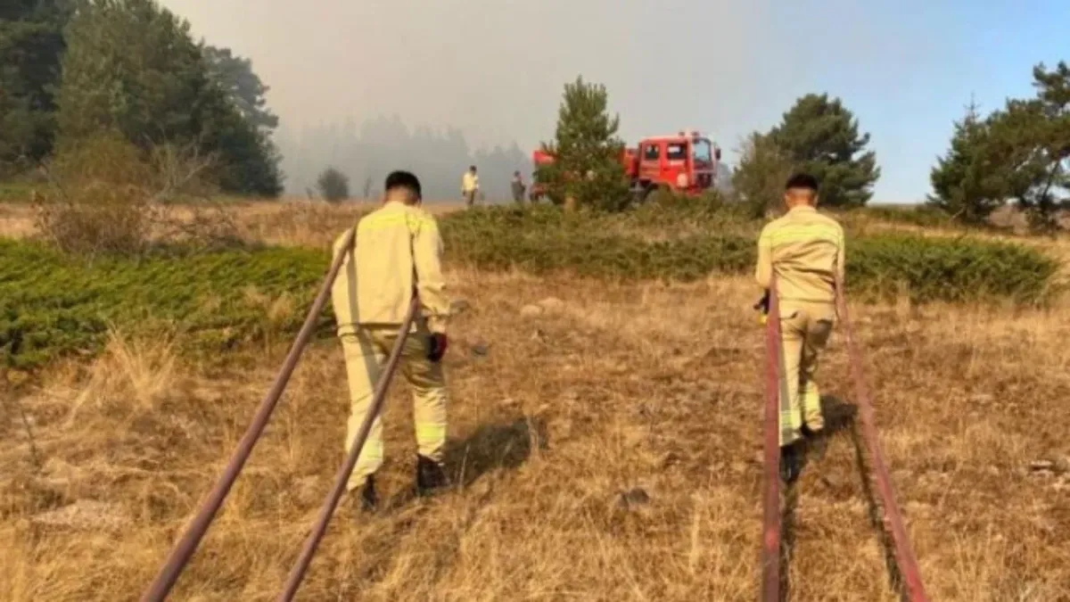 Ankara yangın SON DAKİKA! Ankara'da yangın nerede çıktı? Ankara yangın son durum ne?