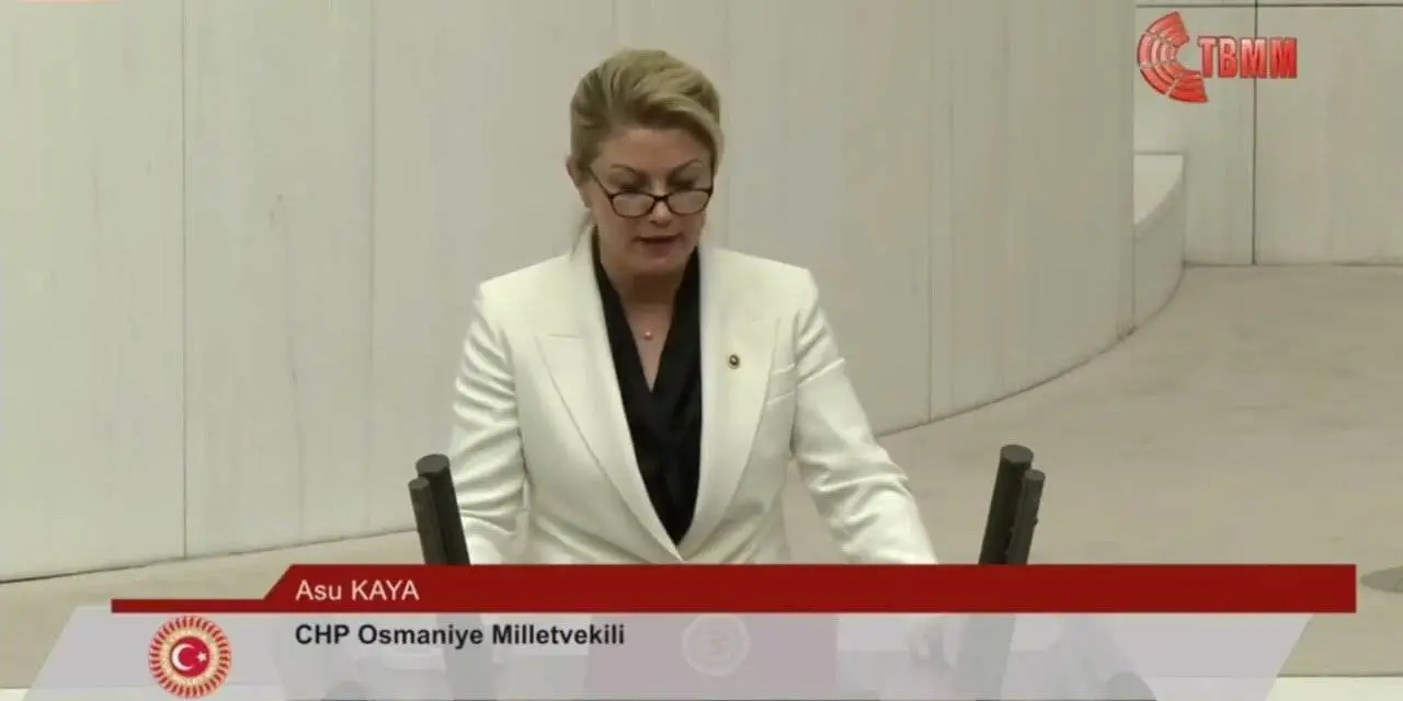 Asu Kaya Gedik kimdir? Asu Kaya Gedik nereli ve kaç yaşında?