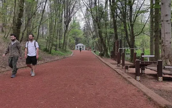 Belgrad Ormanı'na nasıl gidilir? Belgrad Ormanı'na arabasız nasıl gidilir? Belgrad Ormanı'na nerede, hangi semtte?