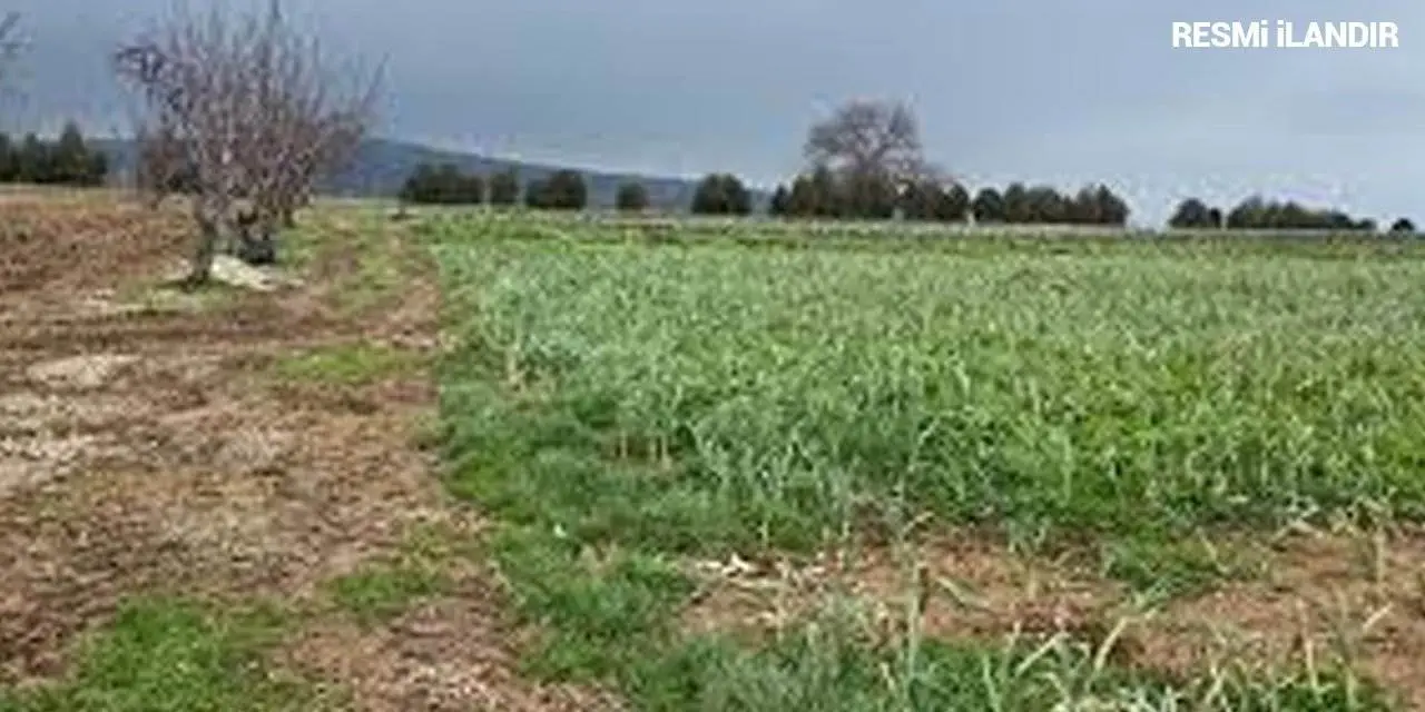 BEYPAZARI BELEDİYE BAŞKANLIĞINDAN GAZİPAŞA MAH. 155093 ADA 3 PARSELDE ARSA SATIŞI İLAN
