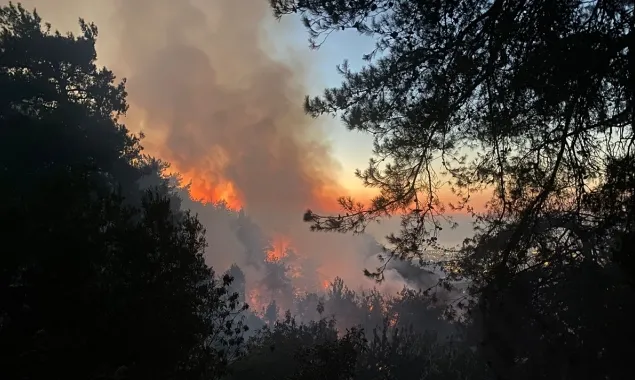 Çanakkale'de yangın söndürüldü mü? Çanakkale'de yangın nerede çıktı?