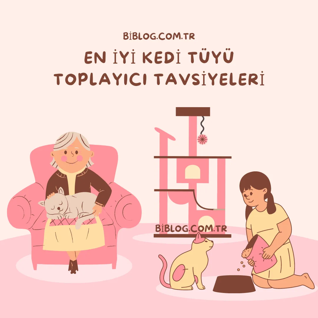 En İyi Kedi Tüyü Toplayıcı Tavsiyeleri