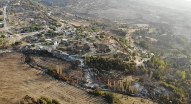 Eskişehir orman yangını söndürüldü mü? Eskişehir, Çanakkale orman yangınları söndü mü? İbrahim Yumaklı açıkladı!