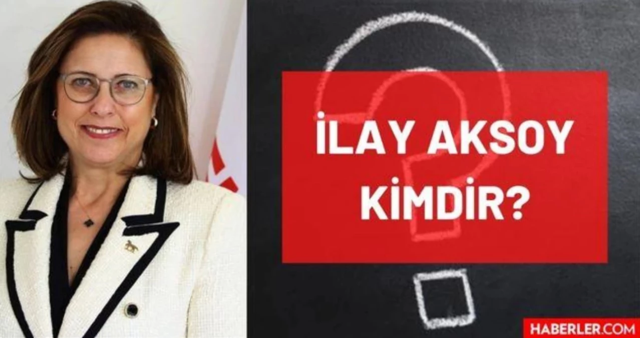 İlay Aksoy kimdir? Kaç yaşında, nereli, mesleği ne, hangi partili? Demokrat Parti Genel Başkan Yardımcısı İlay Aksoy'un hayatı ve biyografisi!