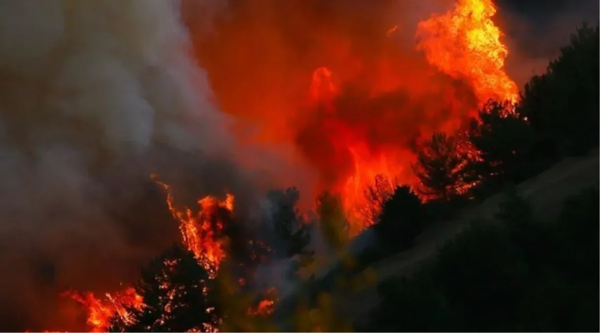 Kayseri yangın söndürüldü mü? Kayseri yangın nerede, neden çıktı?