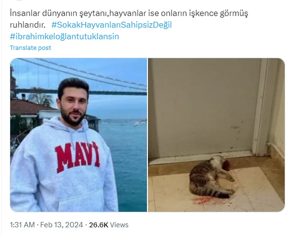Kediyi 6 dakika boyunca döverek öldüren cani kim? İbrahim Keloğlan tutuklandı mı?