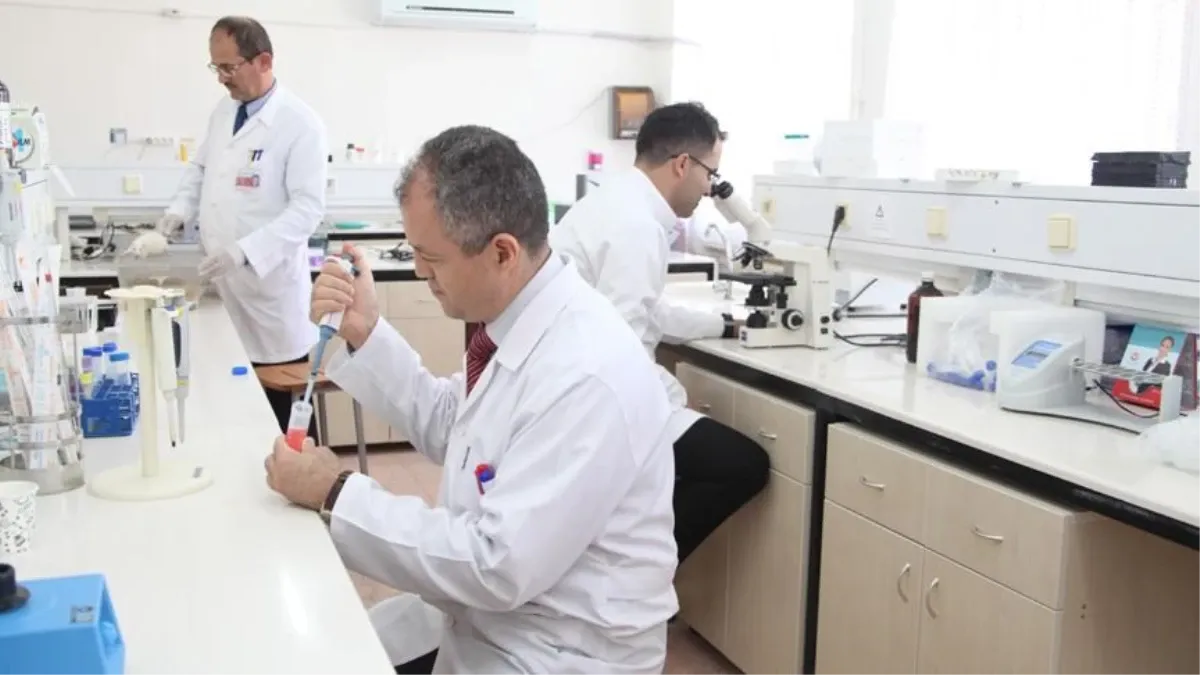 Progesteron nedir, kaç olmalı? Kadın üreme sisteminin kritik bileşeni: Progesteron hormonu yüksekliği ve düşüklüğü! Progesteron hormonu ve görevleri