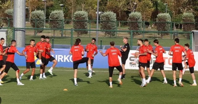 Türkiye - Ermenistan maçı nerede oynanacak? Türkiye milli takım futbol maçı hangi statta oynanacak?