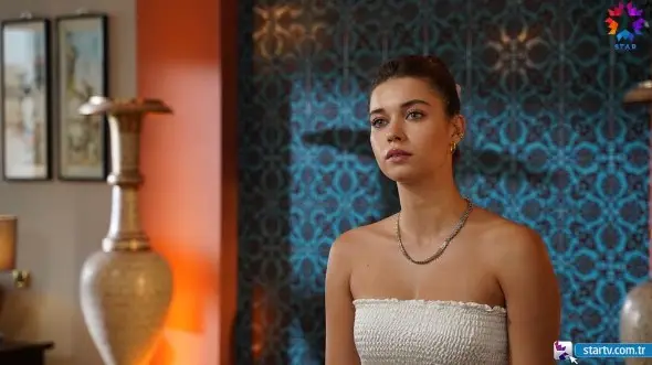 Yalı Çapkını dizisi satıldı mı, hangi ülkede yayınlanıyor? Yalı Çapkını ne kadara satıldı?