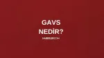 Gavs ne demek? Gavs nedir? Gavs ne anlama gelir?