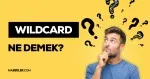 Wildcard nedir? Wildcard ne demek, kimlere, neden verilir?